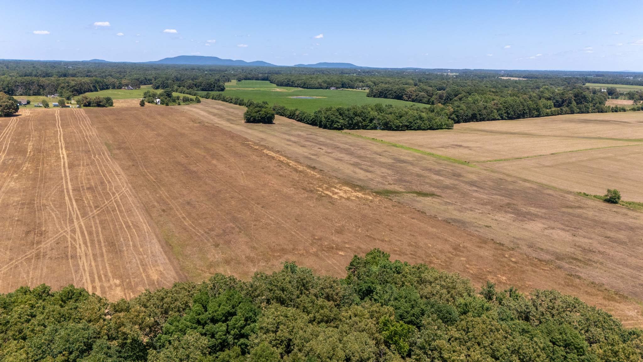 0 Brown Road Woodbury, TN 37190 - Photo 20 of 34