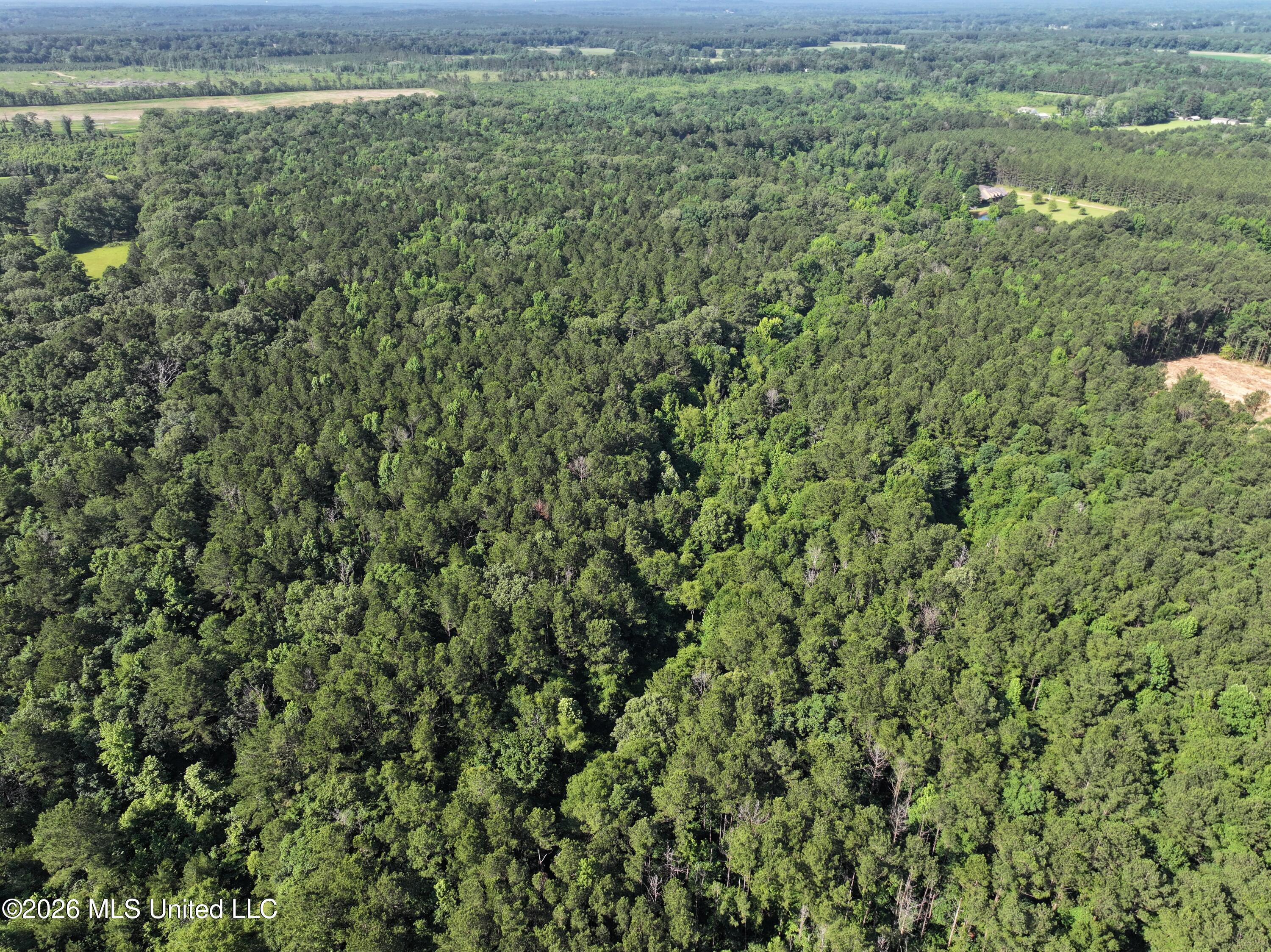 J C Prestage Road Pelahatchie, MS 39145 - Photo 6 of 24 4349B19F-8AB0-4296-A5FF-BF35756F3C2A