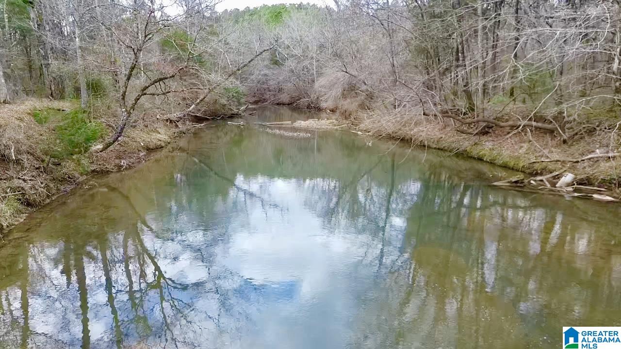 576 Gunlock Street Montevallo, AL 35115 - Photo 74 of 76