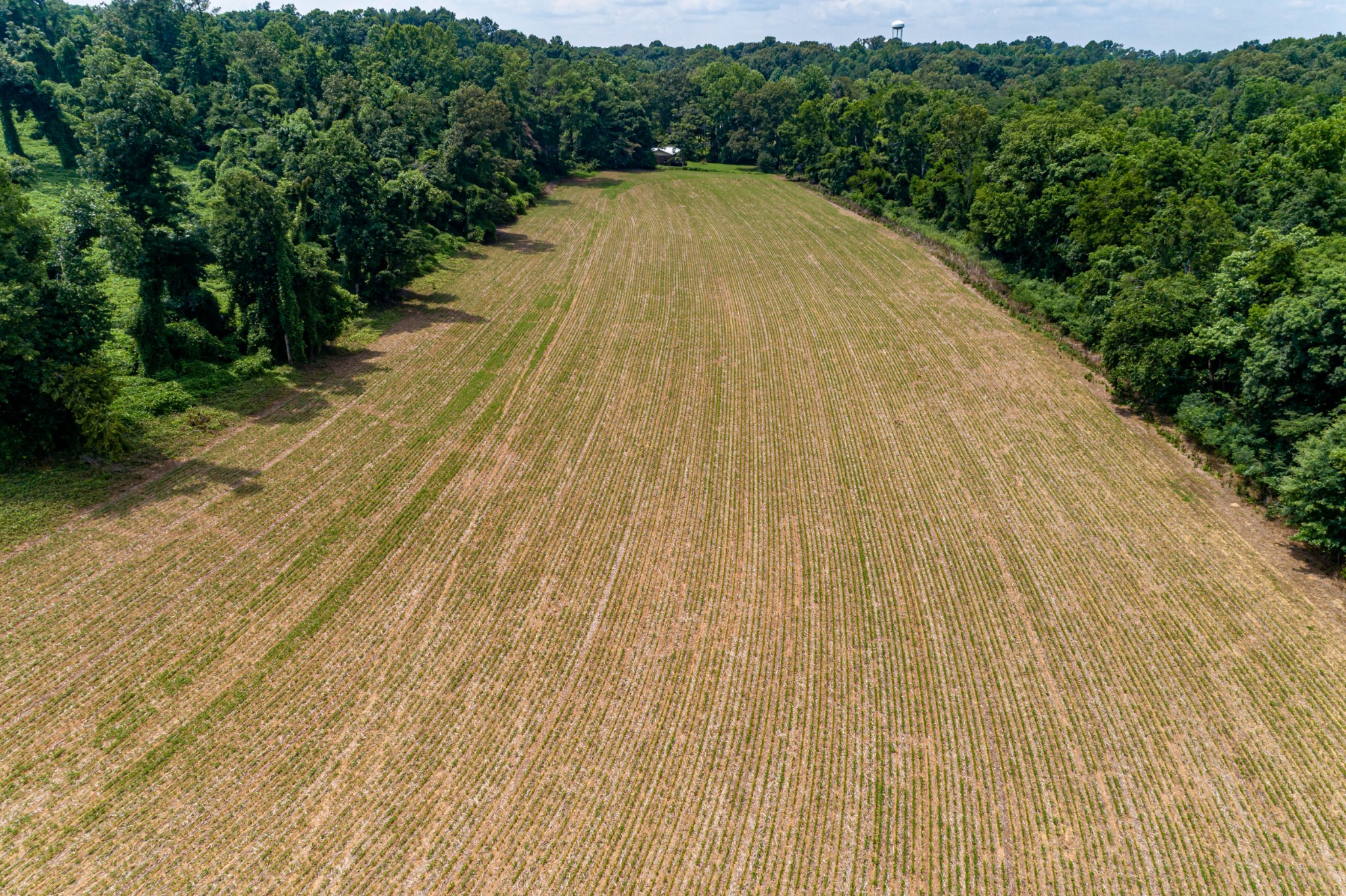 418 Largo Road Decaturville, TN 38329 - Photo 31 of 32 Gallery Image 31