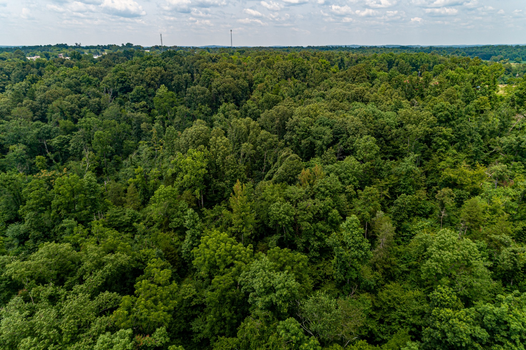 418 Largo Road Decaturville, TN 38329 - Photo 32 of 32 Gallery Image 32