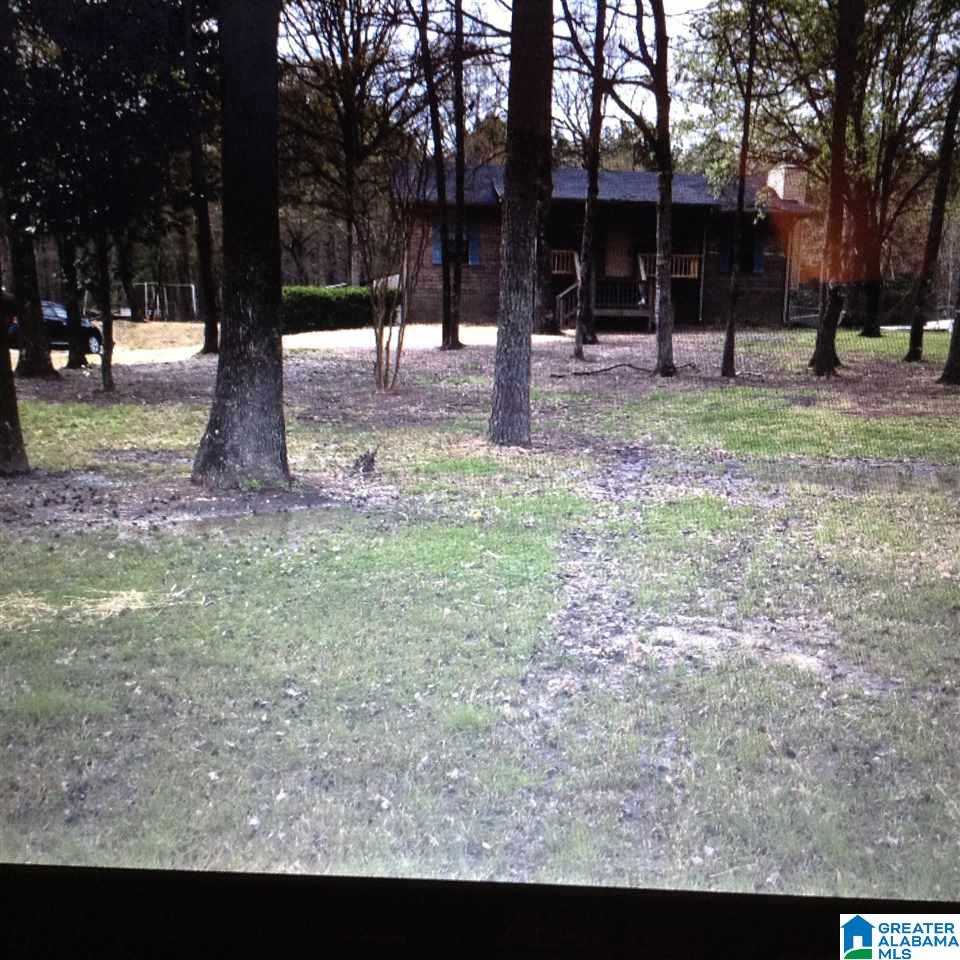 707 Camp Branch Road Alabaster, AL 35007 - Photo 2 of 19