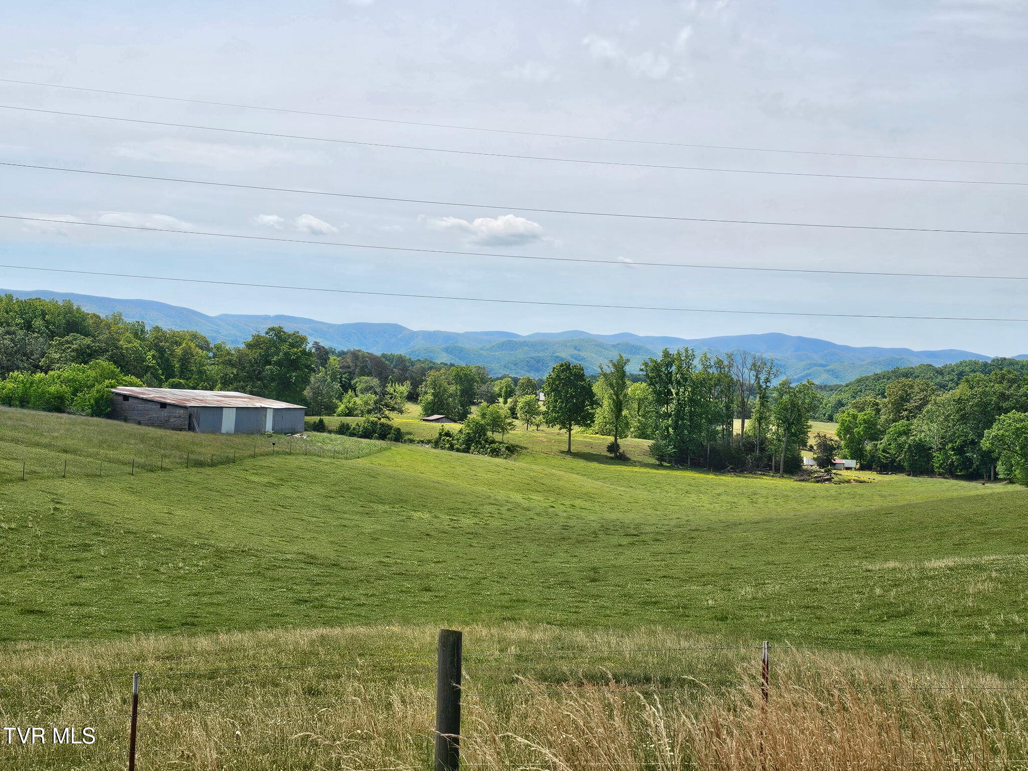 223 Tweed Road Limestone, TN 37681 - Photo 7 of 12 1000006682