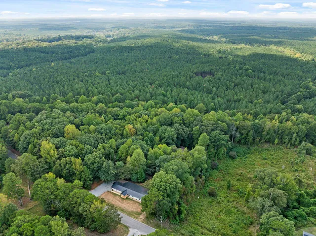 an aerial view of residential houses with outdoor space and trees