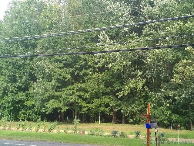0 Mountain Road West Suffield, CT 06093 - Photo 1 of 1