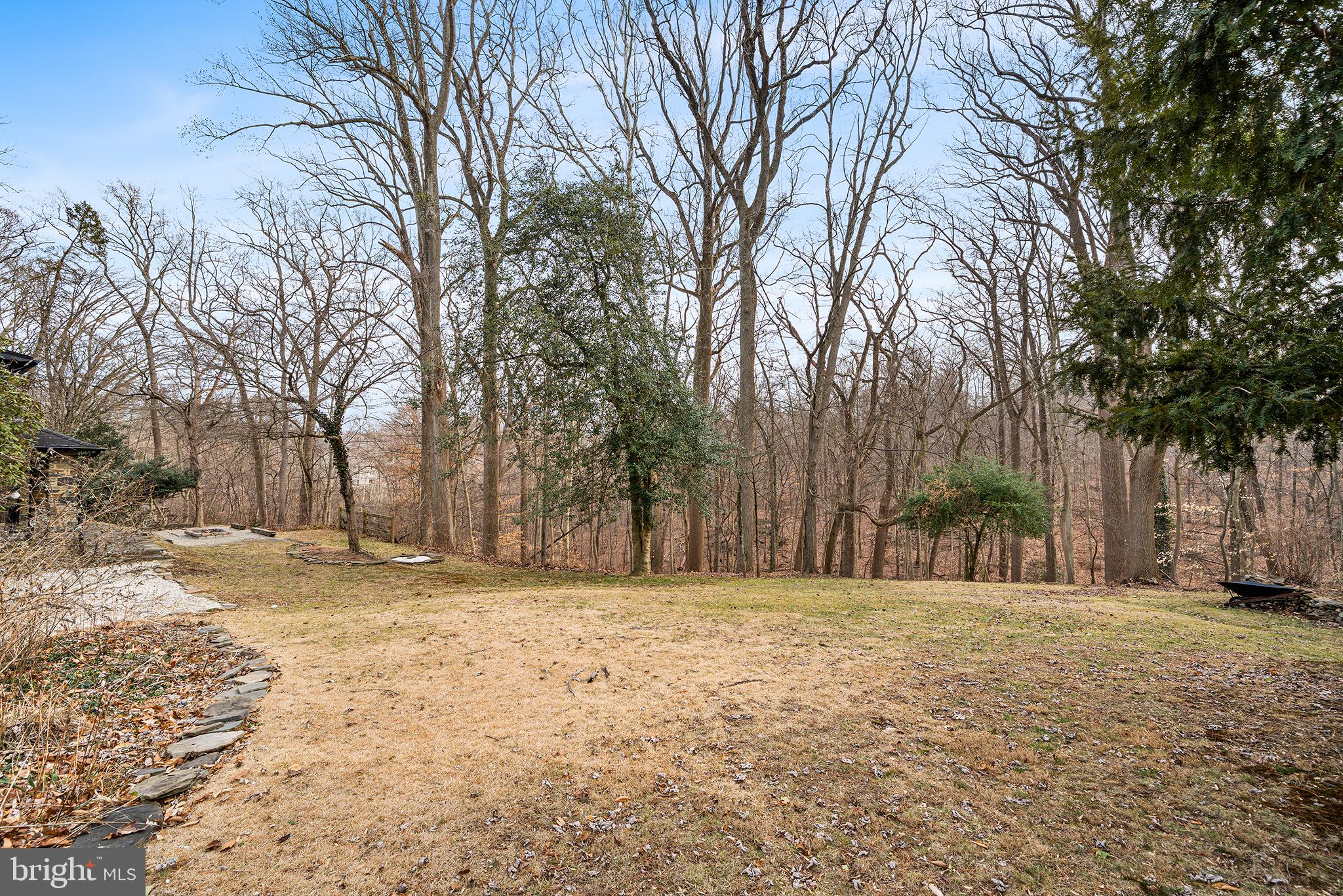 238 Fox Road Media, PA 19063 - Photo 48 of 74 a view of yard with trees