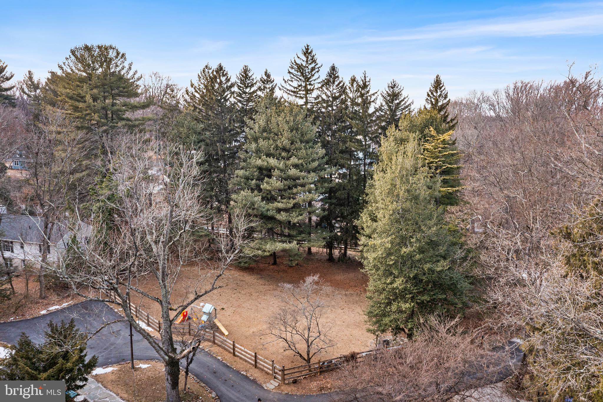 238 Fox Road Media, PA 19063 - Photo 50 of 74 a view of a forest with trees in the background
