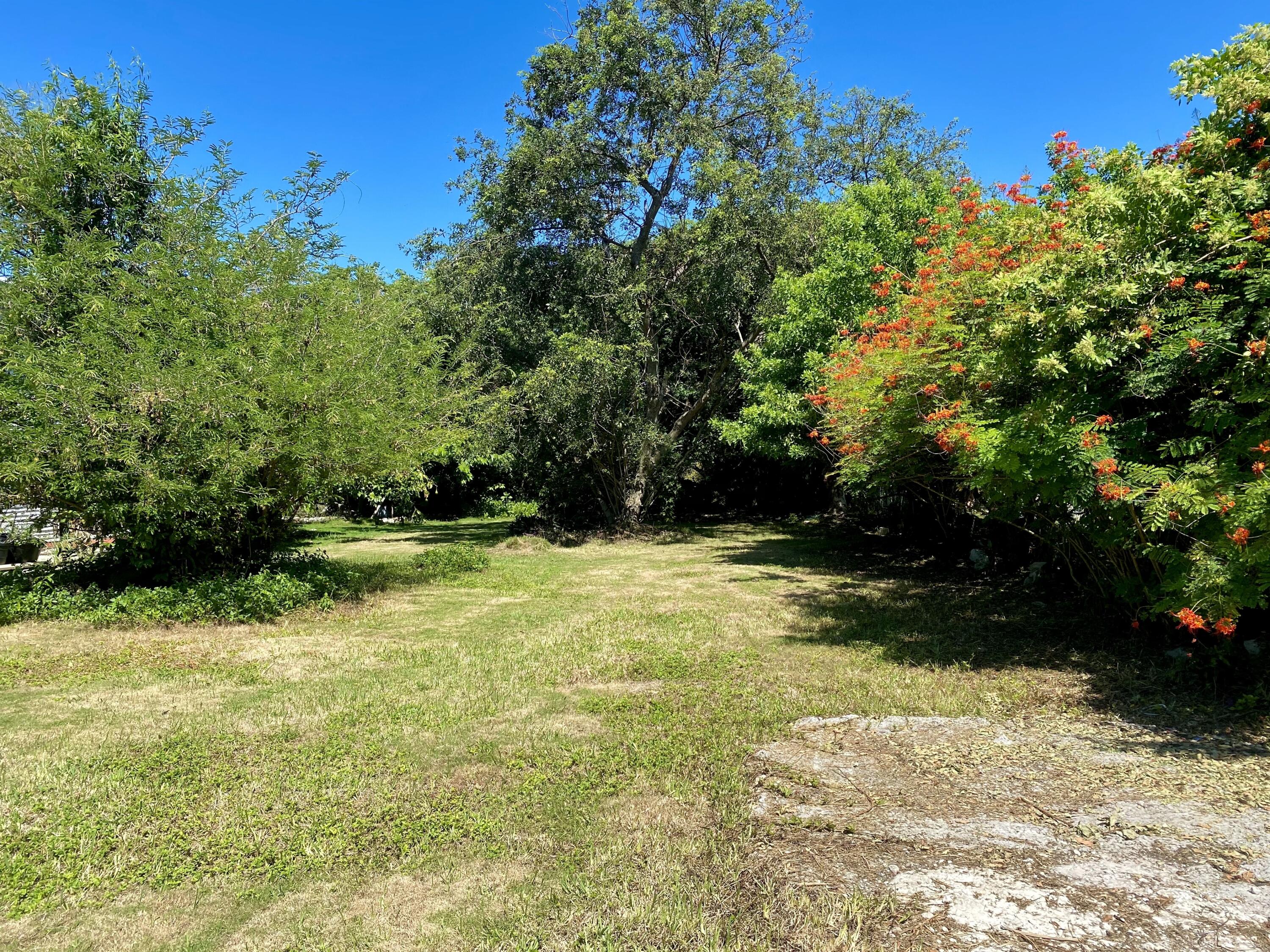 Lot 31 Angelfish Road Summerland Key, FL 33042 - Photo 2 of 5 IMG_3651