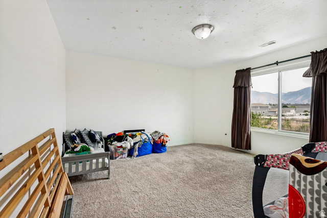 1427 South 1100th Street West Springville, UT 84663 - Photo 34 of 44