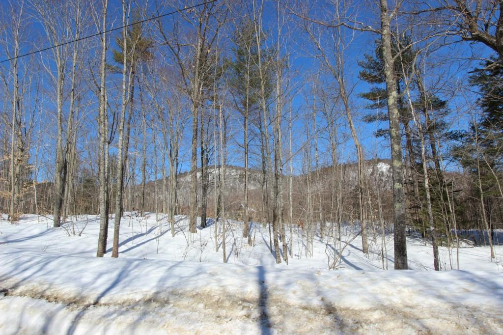 312 Folly Road Sebago, ME 04029 - Photo 7 of 32 View across street from home.
