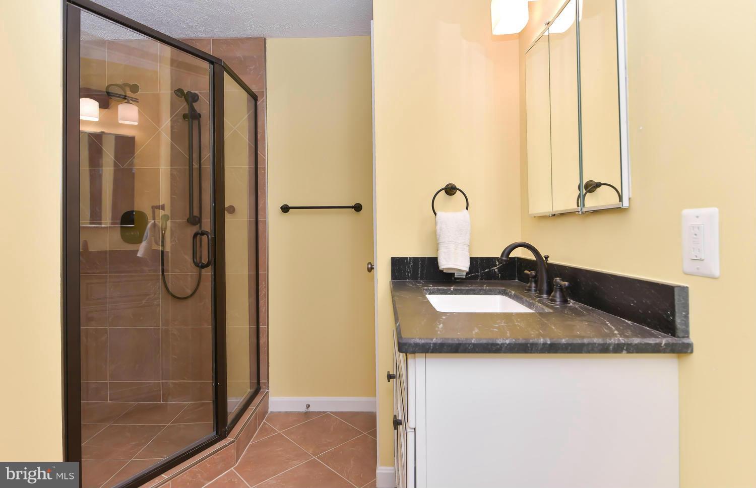 1725 Stonebridge Road Alexandria, VA 22304 - Photo 19 of 22 Bath