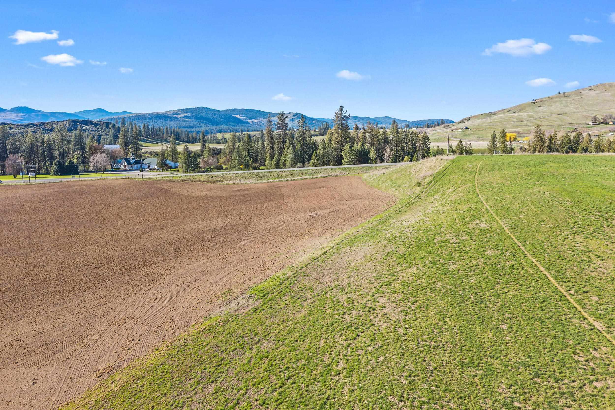 37-xx Cedonia-Addy Road Hunters, WA 99137 - Photo 8 of 15 Gallery Image 8