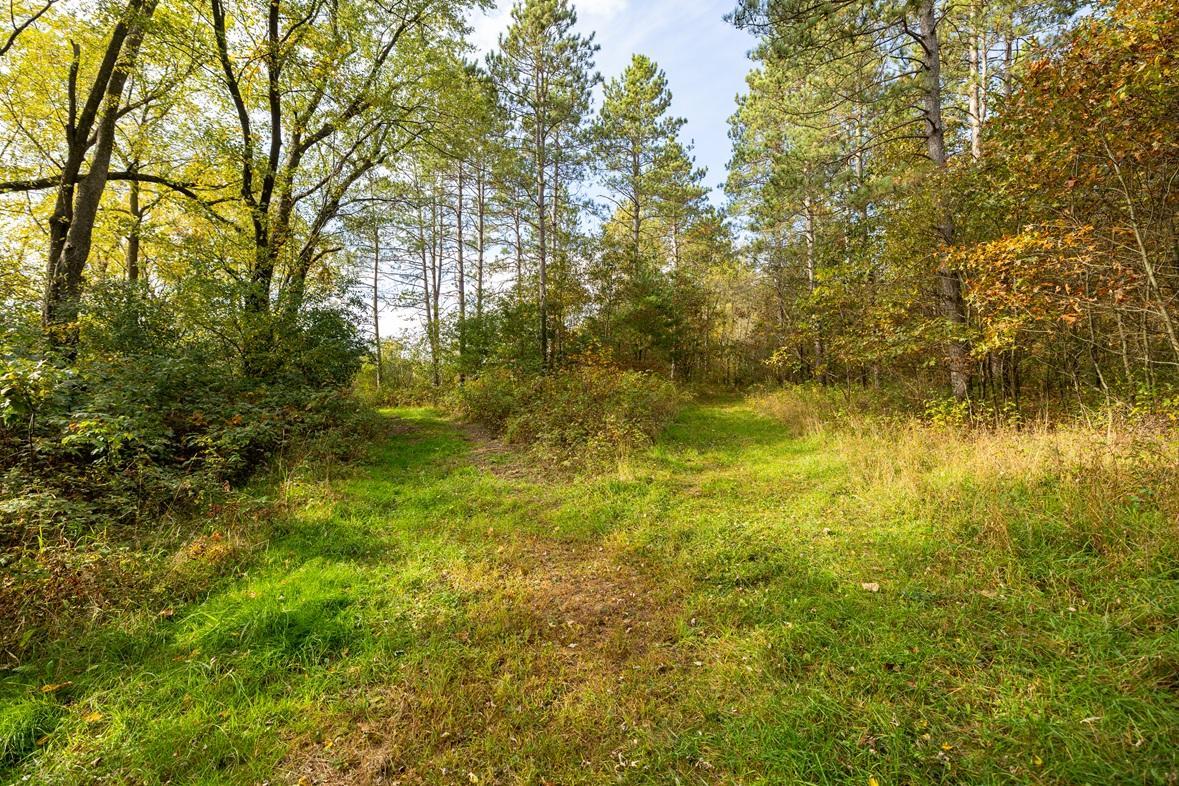 Tbd East Prairie Road East Osseo, WI 54758 - Photo 15 of 50 Gallery Image 15