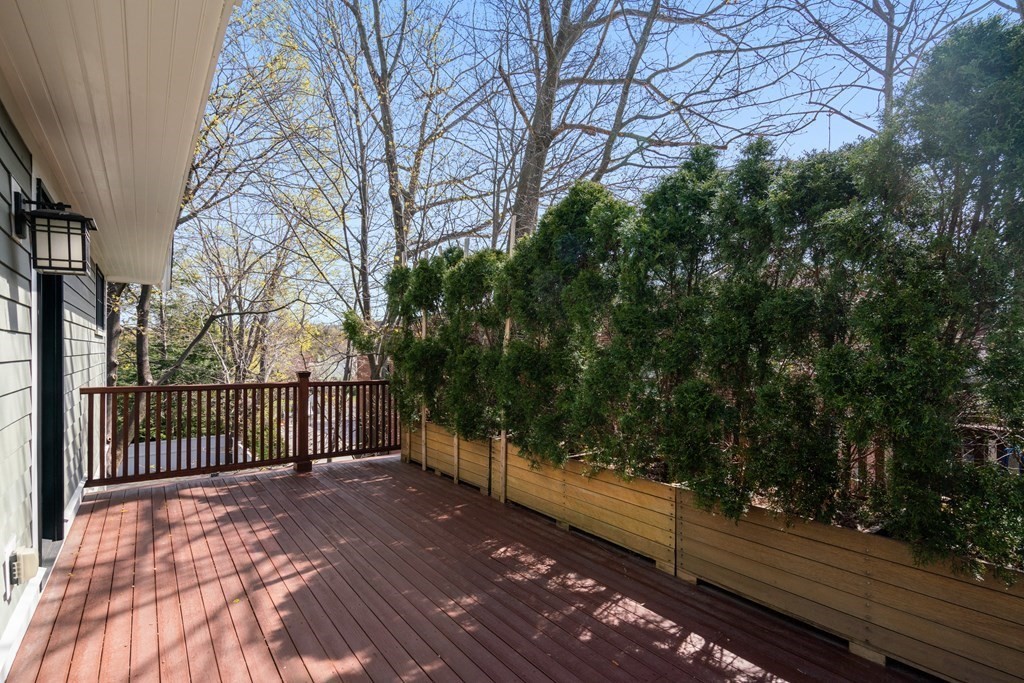 36 Druce Street Brookline, MA 02445 - Photo 32 of 36