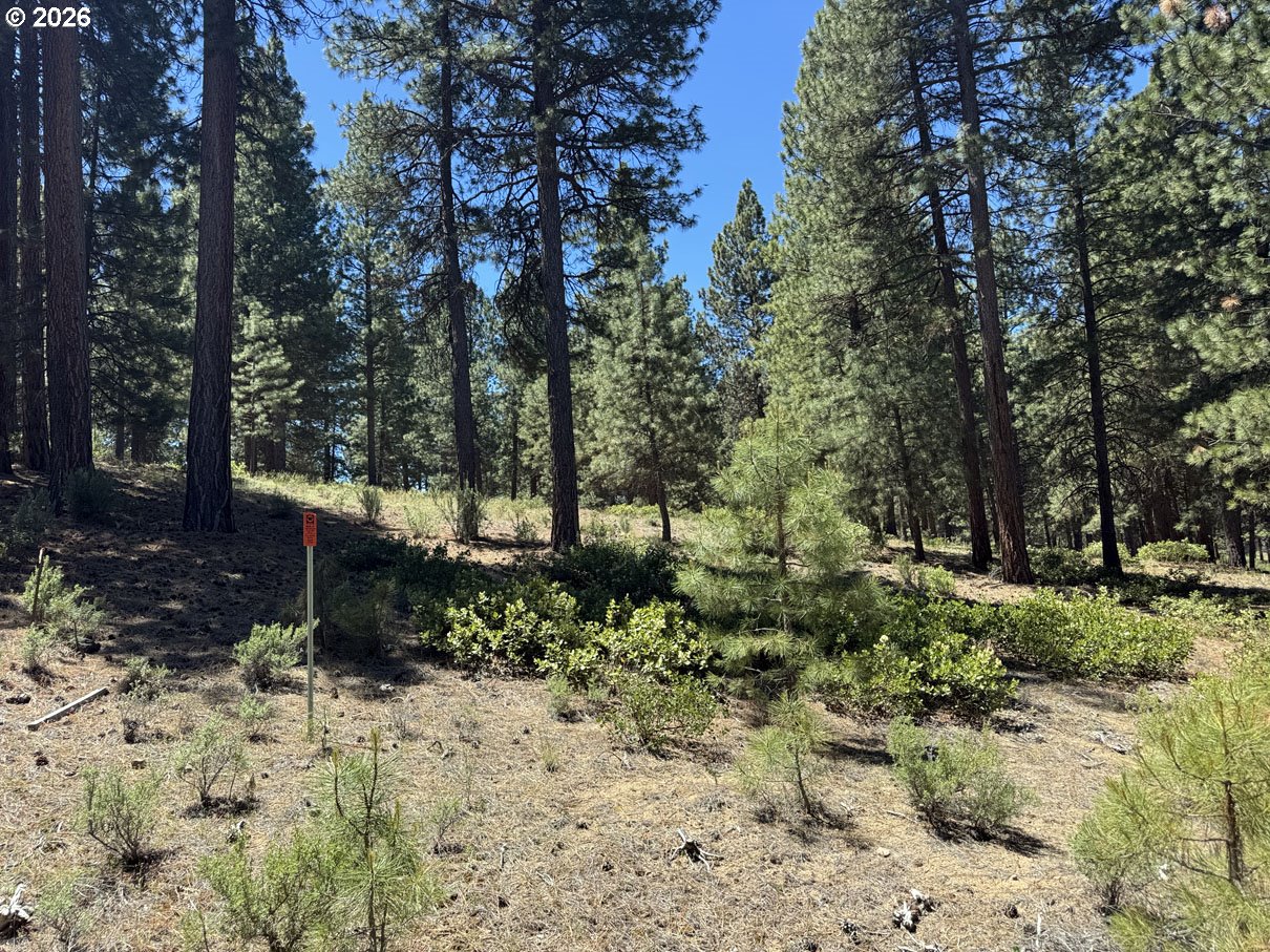 Incline Drive, Unit 22 Chiloquin, OR 97624 - Photo 5 of 19