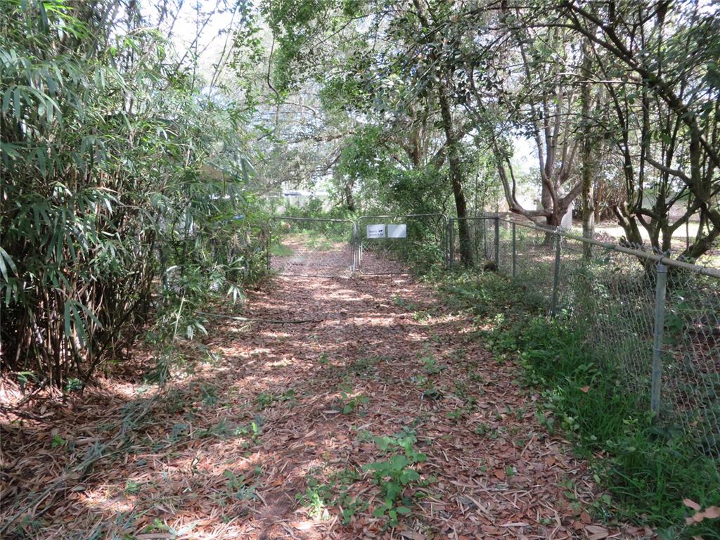 34811 Buck Road Zephyrhills, FL 33541 - Photo 1 of 1 Gallery Image 1