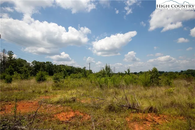 a view of a bunch of trees in background