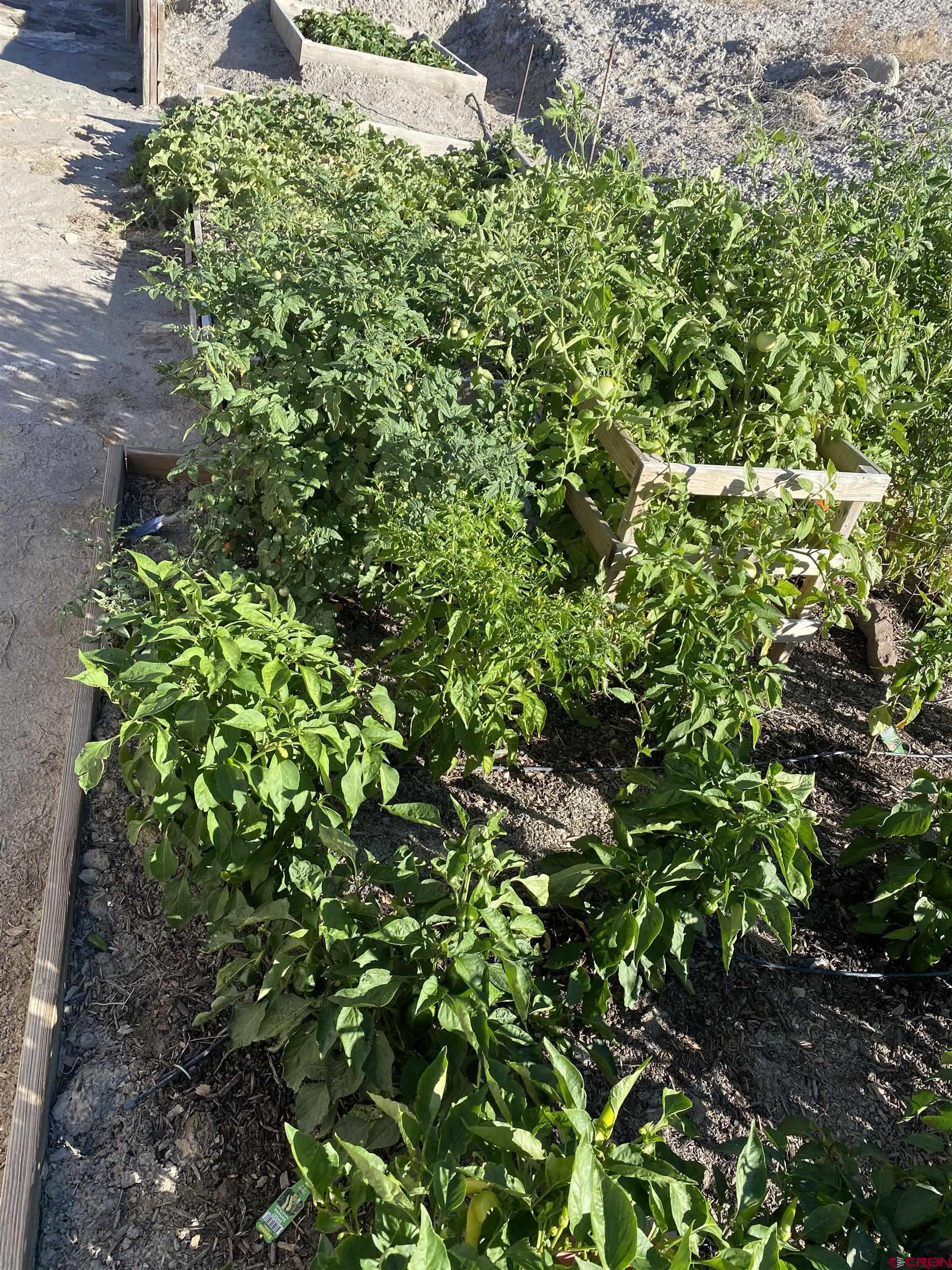 7156 Peach Valley Road Delta, CO 81416 - Photo 6 of 33 a view of a garden