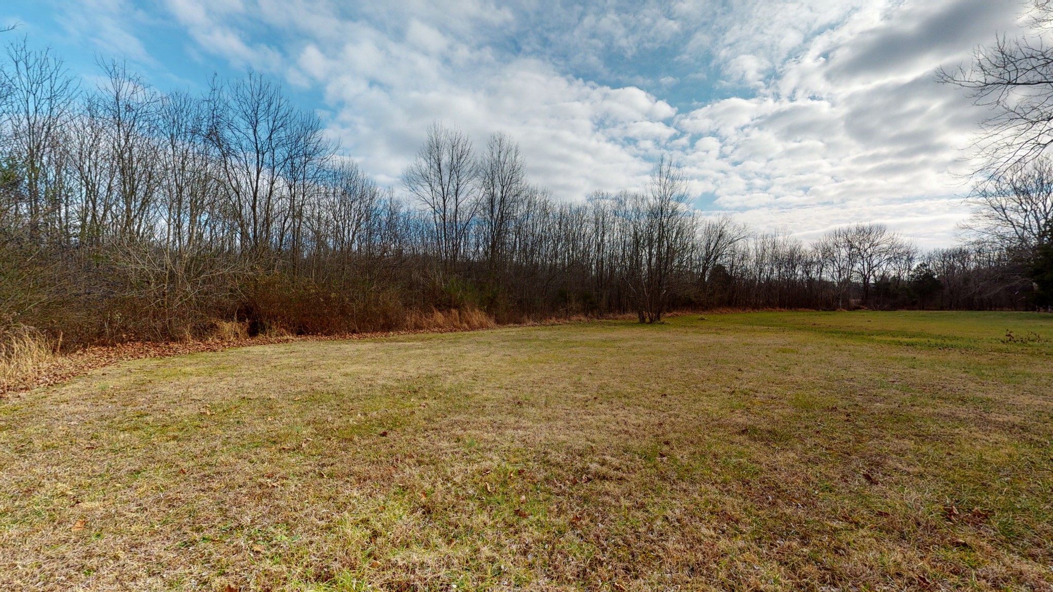 1113 Kathryn Road Mount Juliet, TN 37122 - Photo 31 of 43 Gallery Image 31