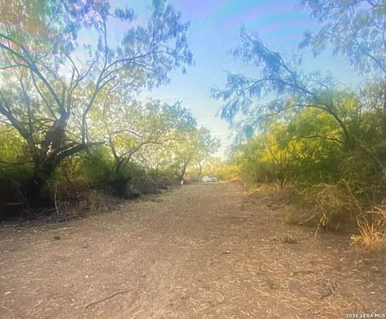 $58,500 | 490 D D Chavarria Road, Eagle Pass, TX 78852