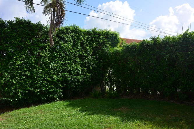 241 Malverne Road West Palm Beach, FL 33405 - Photo 25 of 36 241 Malverne Rd West Palm-small-044-Back