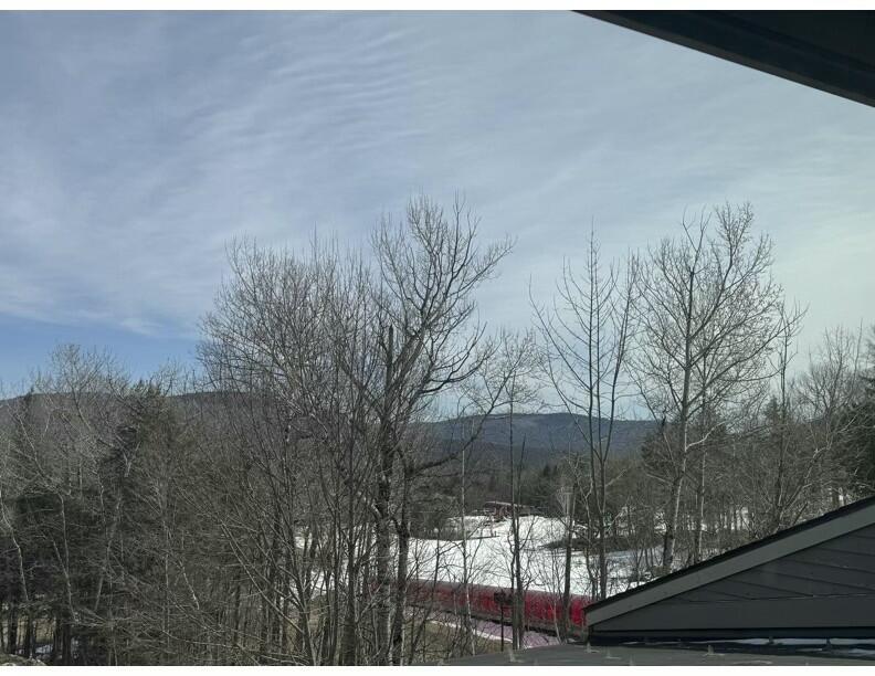 8 Fall Line Drive, Unit S214 Newry, ME 04261 - Photo 13 of 19 tempImagezdRz7P