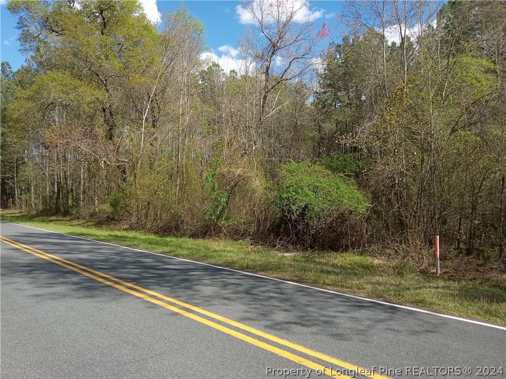 751 Johnsonville School Road Cameron, NC 28326 - Photo 2 of 5 Gallery Image 2