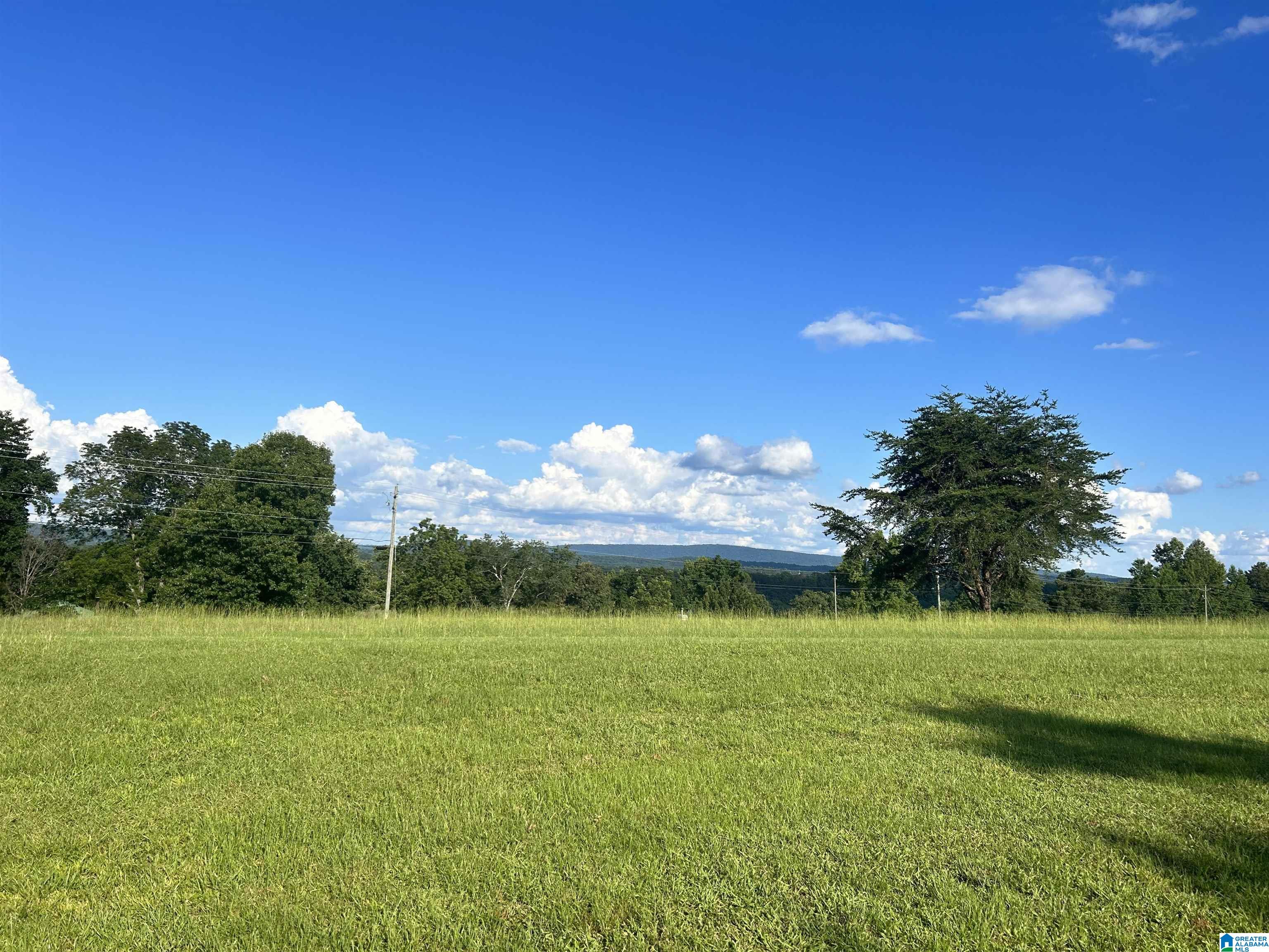 1184 Blackjack Road Trussville, AL 35173 - Photo 1 of 3