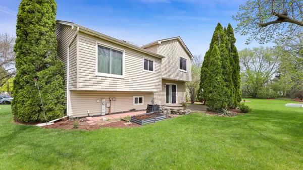 a view of a backyard with a tree