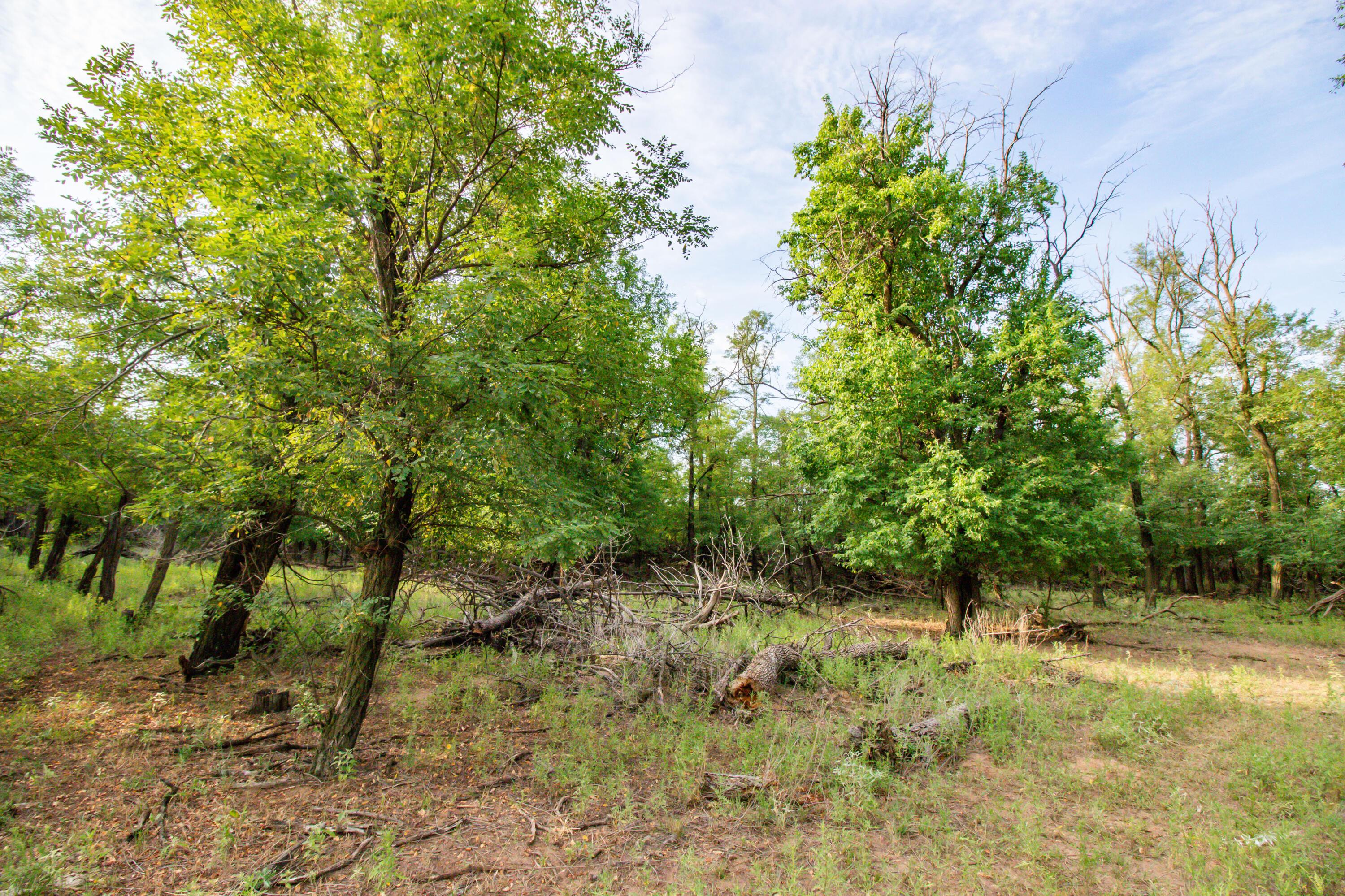 Waters Hunting Ranch Wheeler, TX 79096 - Photo 25 of 60 22
