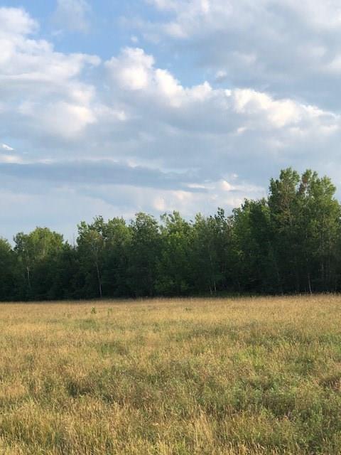 0 Palmer Road Newport, ME 04953 - Photo 3 of 4 Photo