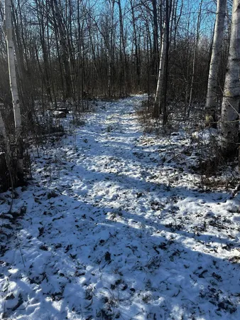 $499,900 | 66605 Norway Spruce Road, Finlayson, MN 55735