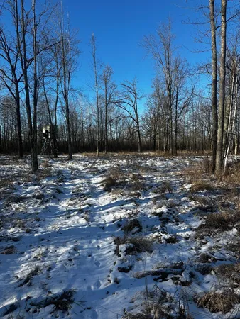 $499,900 | 66605 Norway Spruce Road, Finlayson, MN 55735