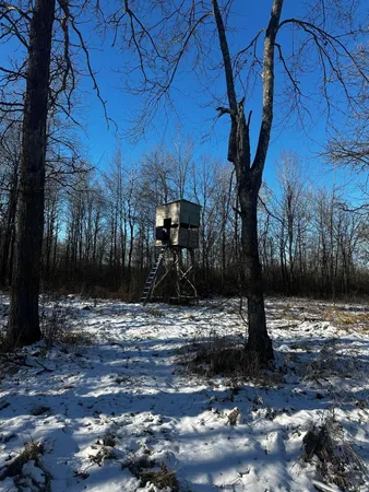 $499,900 | 66605 Norway Spruce Road, Finlayson, MN 55735