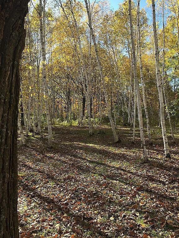66605 Norway Spruce Road Finlayson, MN 55735 - Photo 32 of 33
