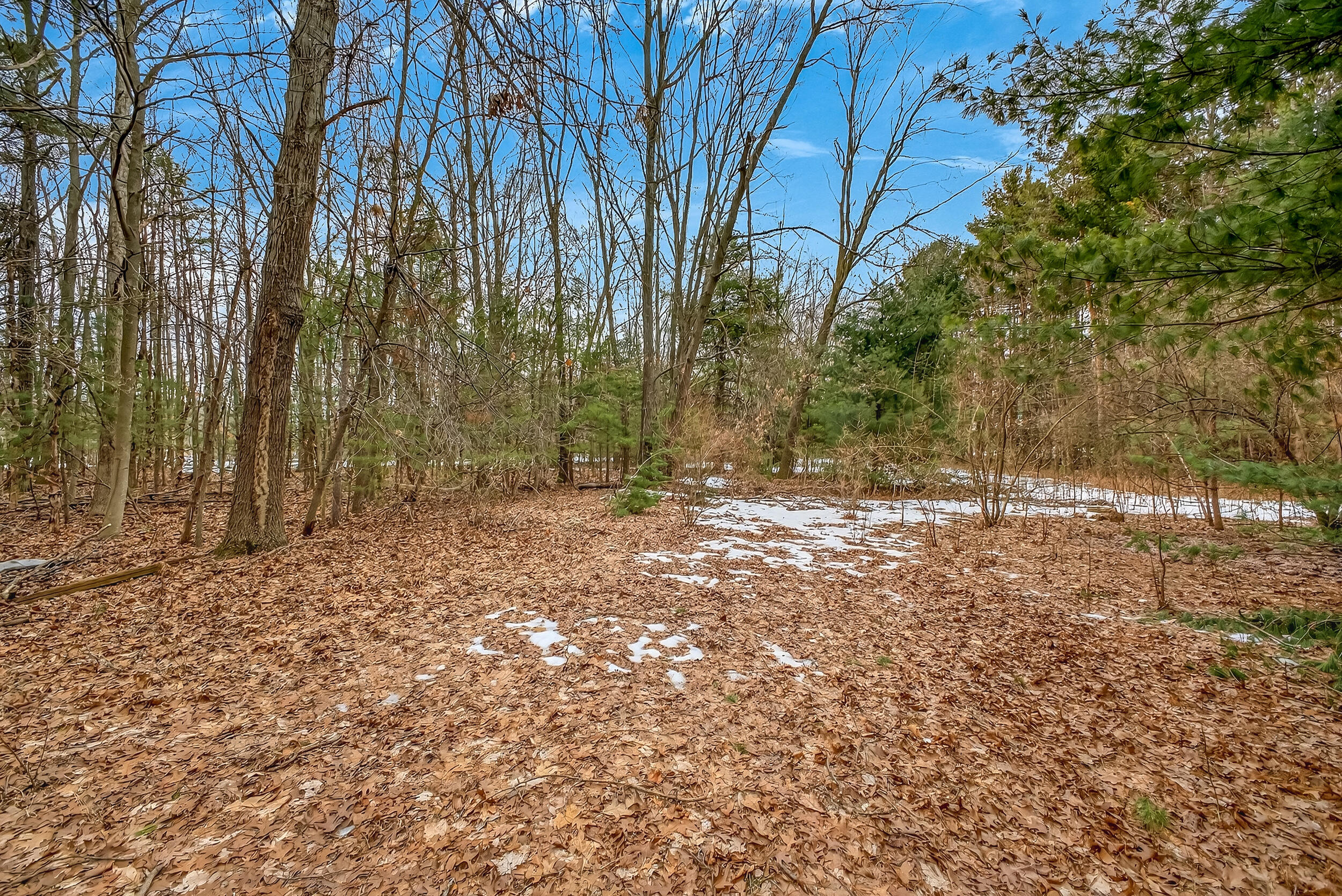 9324 Whitbeck Road Montague, MI 49437 - Photo 41 of 49 9324 whitbeck-10