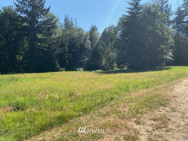 3600 Southeast Bloomfield Road Shelton, WA 98584 - Photo 28 of 35 Gallery Image 28