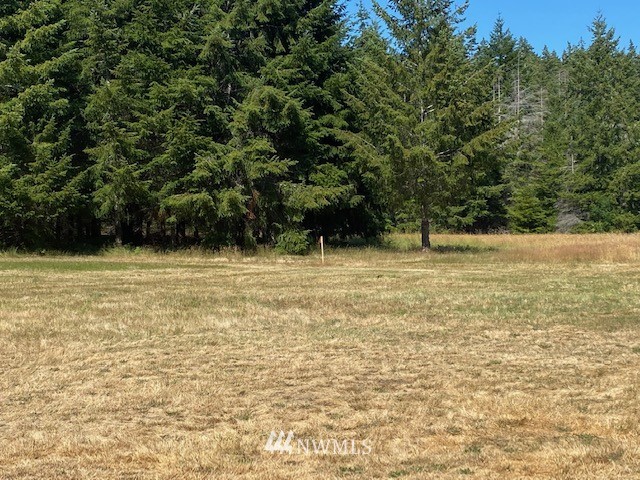 3600 Southeast Bloomfield Road Shelton, WA 98584 - Photo 30 of 35 Gallery Image 30