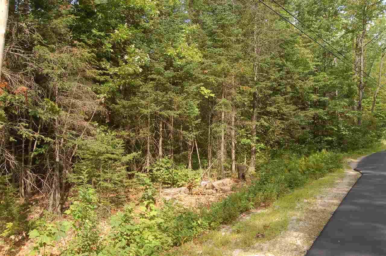 0 Chalk Pond Road Newbury, NH 03255 - Photo 2 of 8