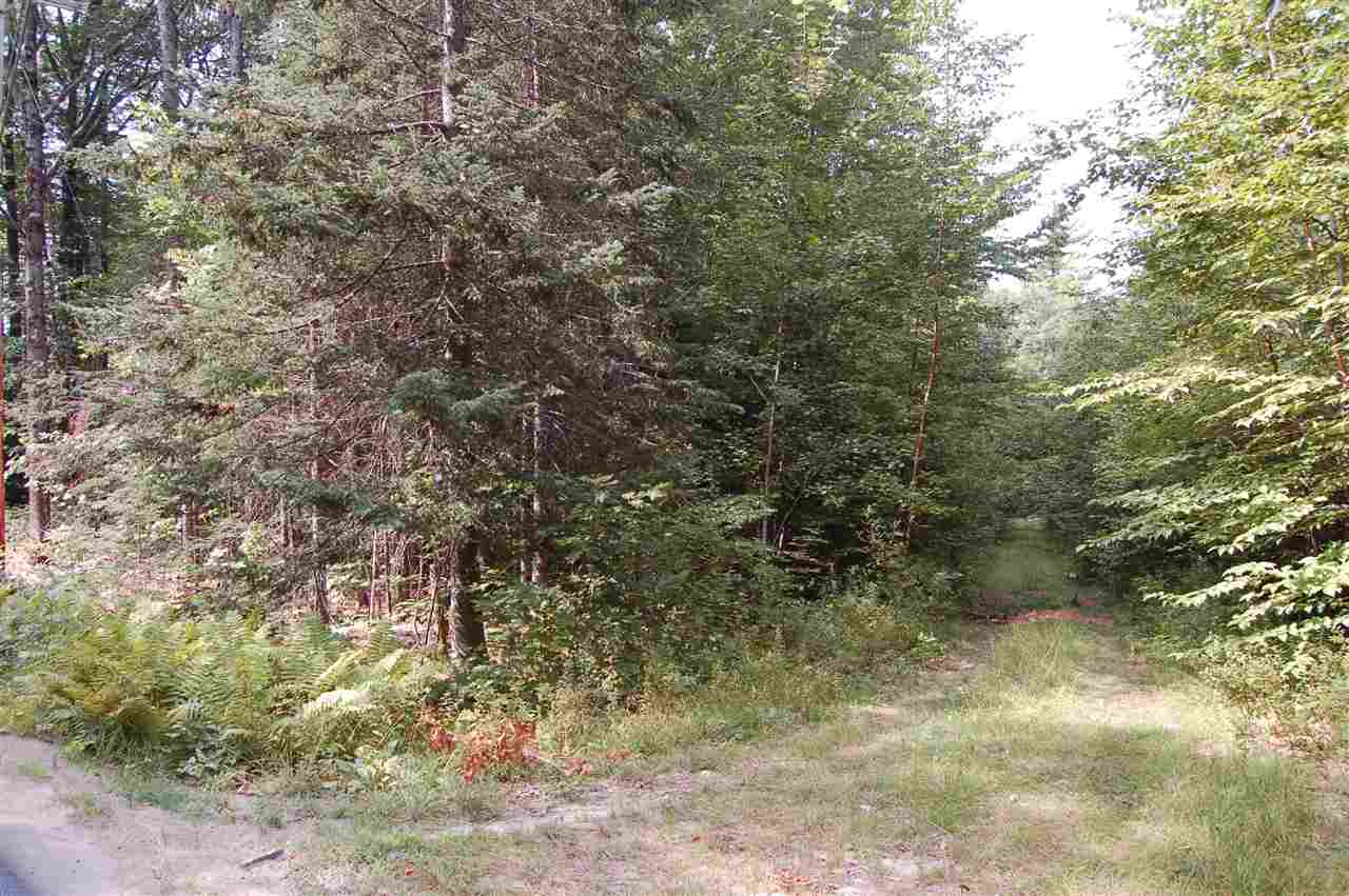 0 Chalk Pond Road Newbury, NH 03255 - Photo 3 of 8