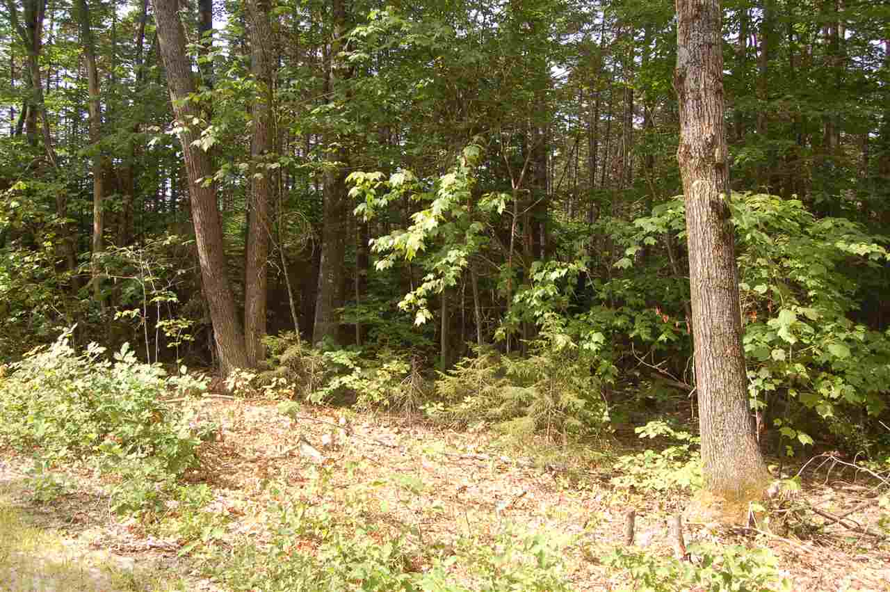 0 Chalk Pond Road Newbury, NH 03255 - Photo 4 of 8