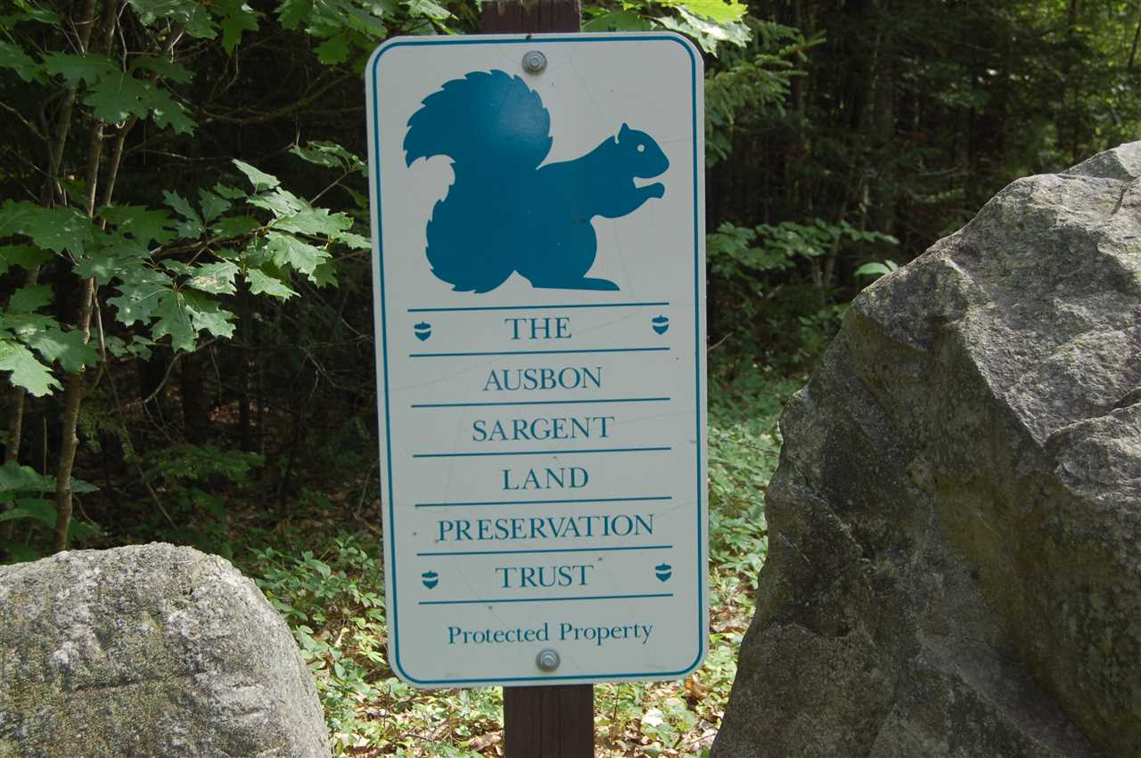 0 Chalk Pond Road Newbury, NH 03255 - Photo 6 of 8