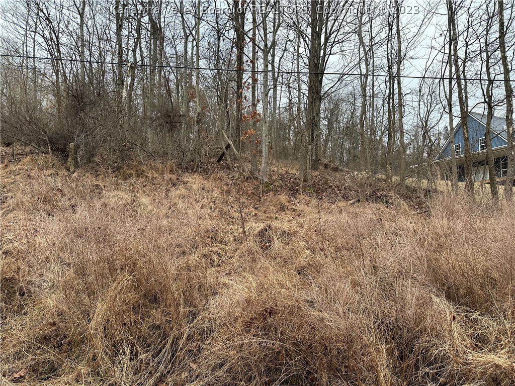 975 Belle Road Point Pleasant, WV 25550 - Photo 2 of 9 Gallery Image 2