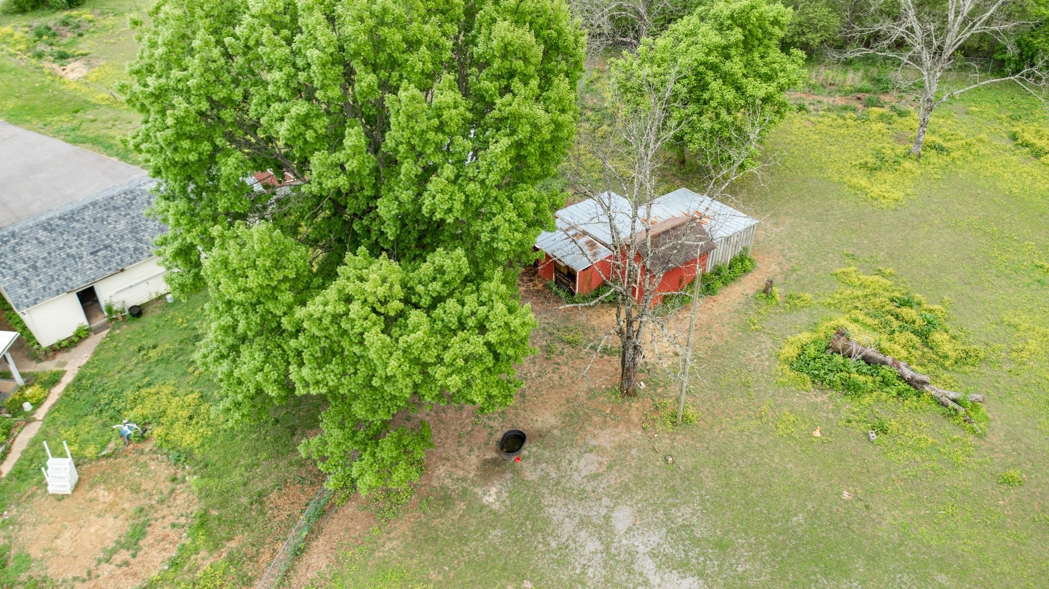 3356 Cairo Bend Road Lebanon, TN 37087 - Photo 16 of 21 a view of a garden