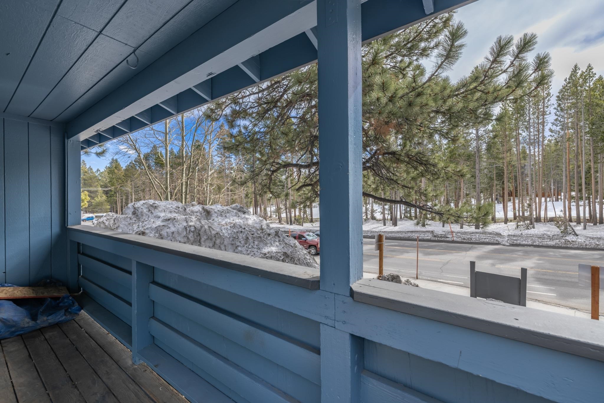 a view of a garden from a window