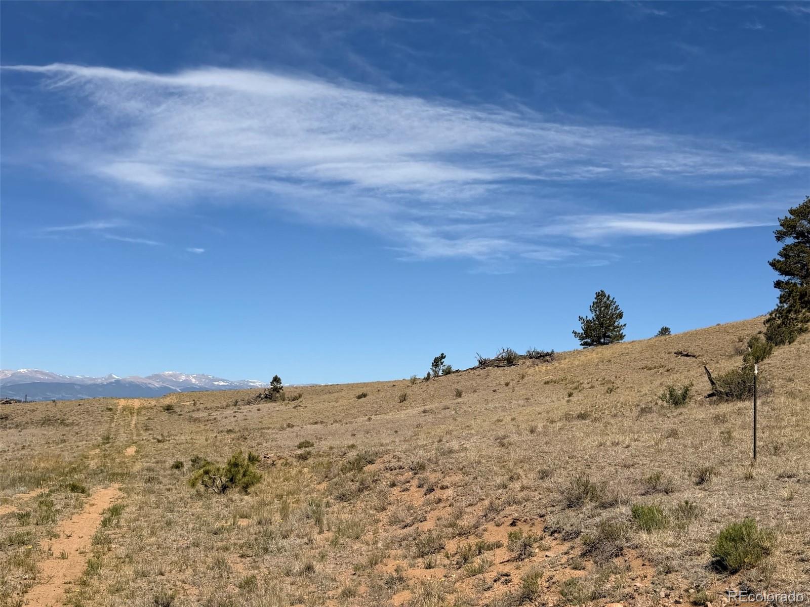 Hardwood Loop Hartsel, CO 80449 - Photo 25 of 38