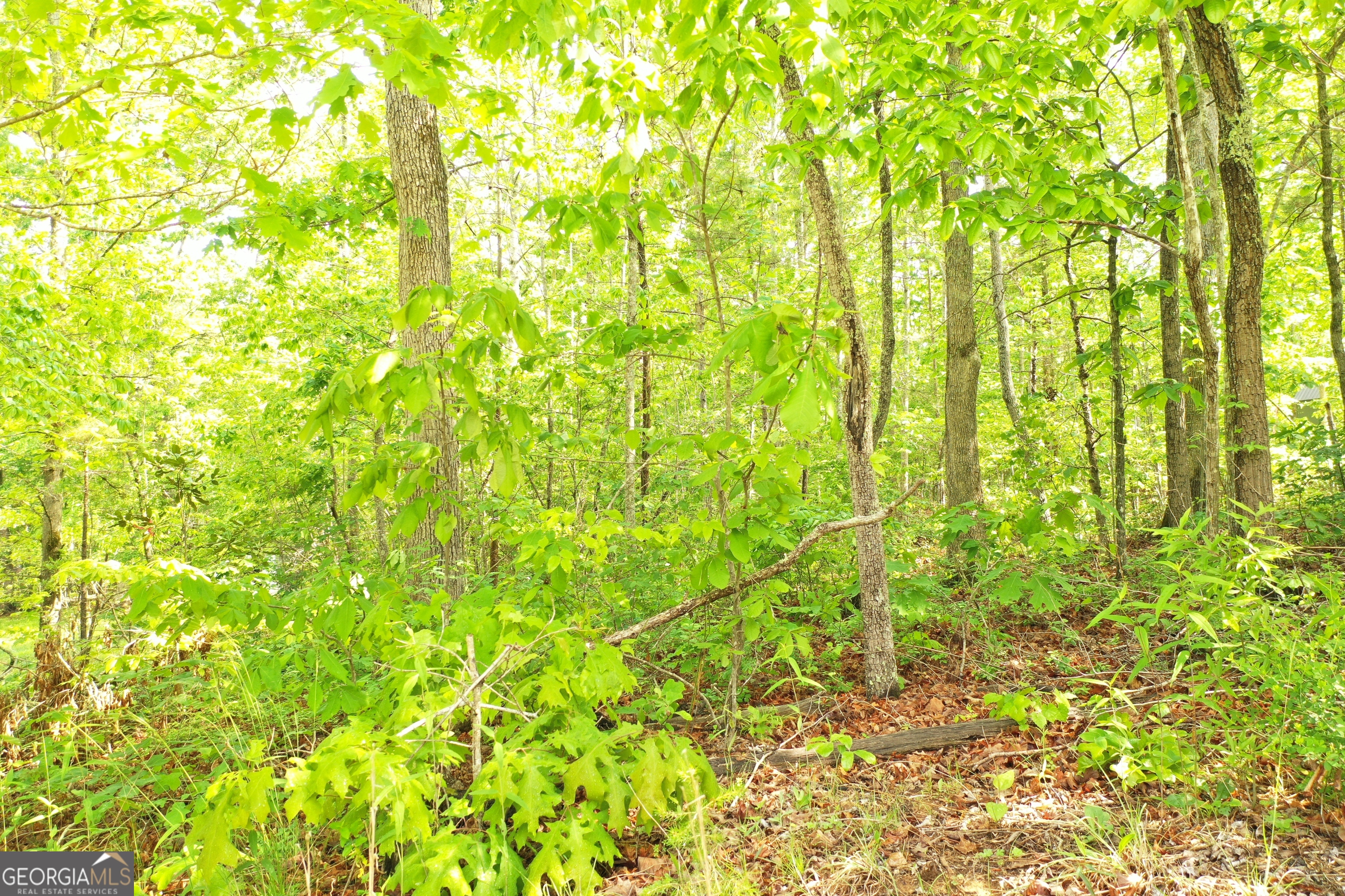 20 Eden Woods Road Clarkesville, GA 30523 - Photo 3 of 9