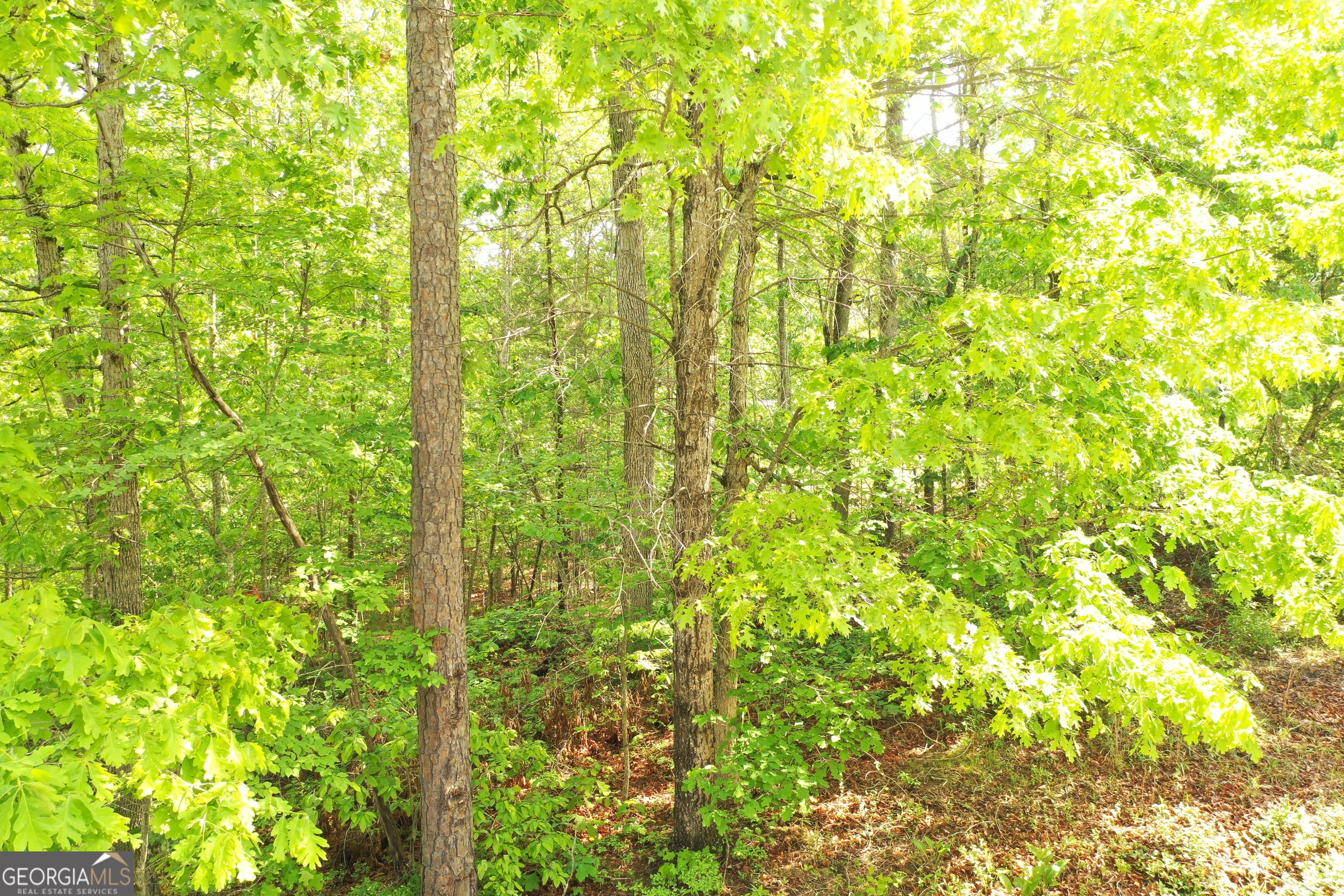 20 Eden Woods Road Clarkesville, GA 30523 - Photo 7 of 9