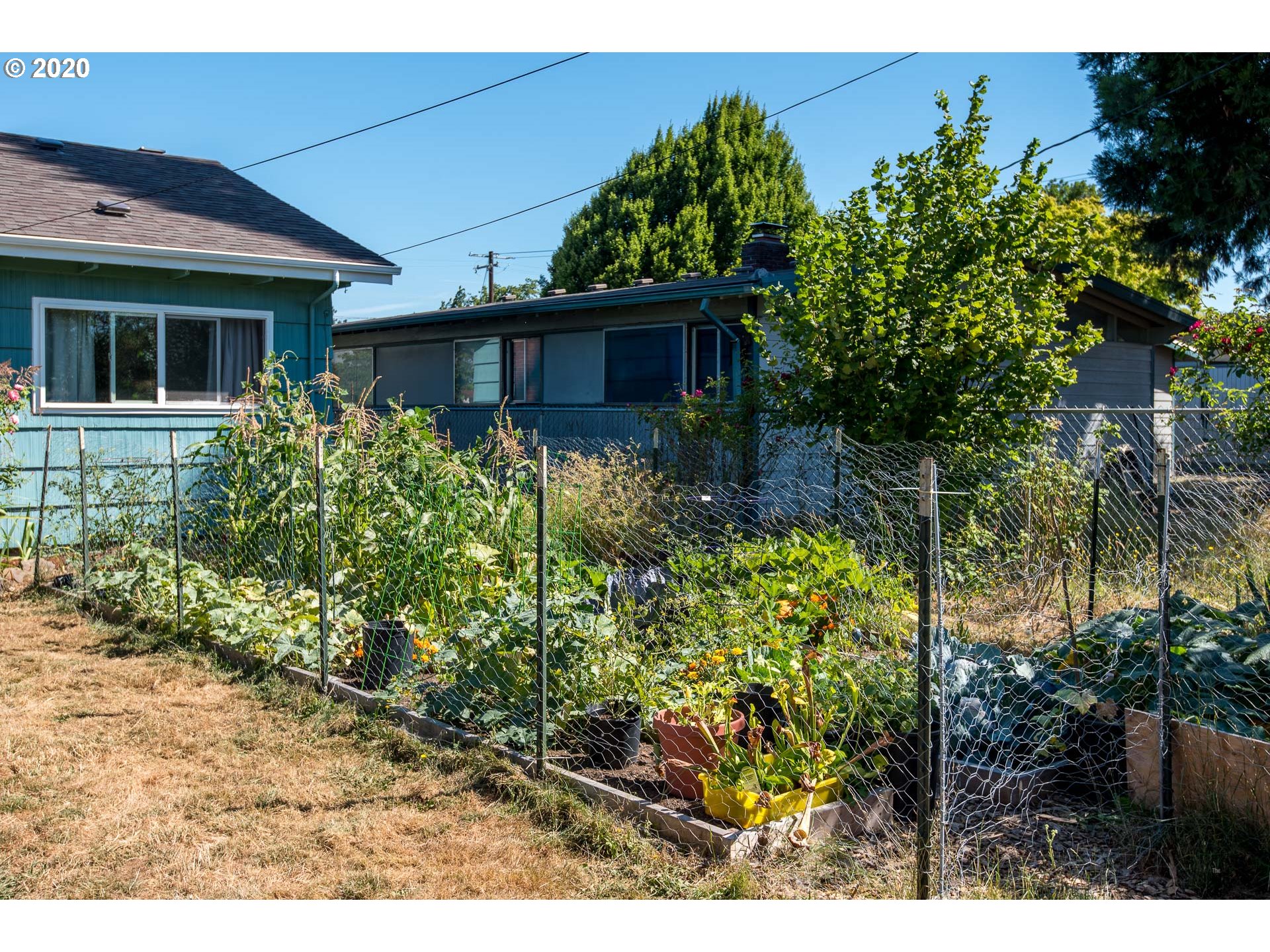 1367 Quinalt Street Springfield, OR 97477 - Photo 24 of 30