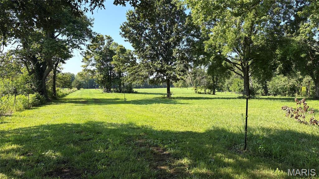 23036 Carlyle Road Thompsonville, IL 62890 - Photo 62 of 99